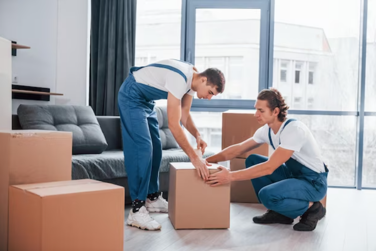 Sydney Removalist: Skilled Movers Carefully Packing Boxes